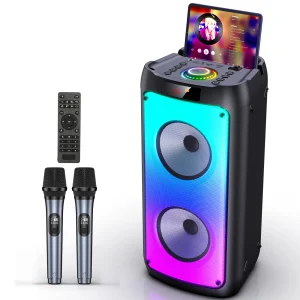 Wireless Bluetooth Karaoke Machine
