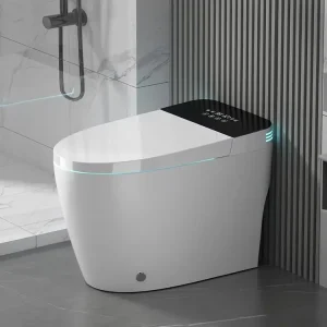 Smart Toilet with Built-in Bidet
